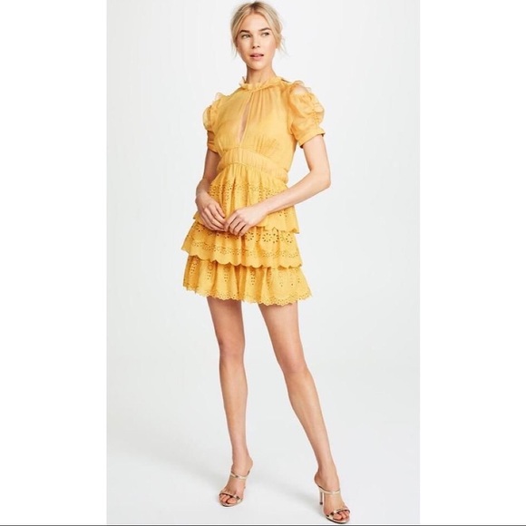 Self-Portrait Dresses & Skirts - NWOT Self-Portrait Embroidered Chiffon Tiered Mini